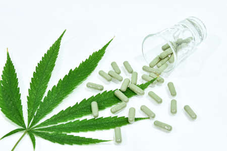 Cannabis Leaf and pill capsules are in the glass. Cannabis is a genus of flowering plants in the family Cannabaceae. Cannabis is a standoff between a drug and a medicine. Plant addictive.の写真素材