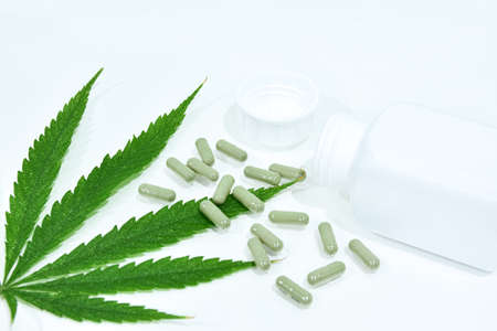 Cannabis Leaf and pill capsules are in the glass. Cannabis is a genus of flowering plants in the family Cannabaceae. Cannabis is a standoff between a drug and a medicine. Plant addictive.の写真素材