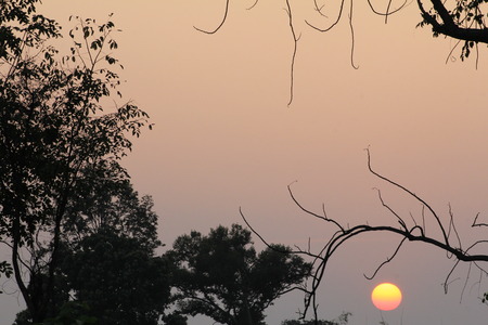 Stock Photo - Beautiful summer landscape in the mountainsの写真素材