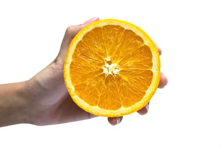 orange in handの写真素材