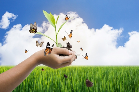 Global Warming And Save The World Conceptの写真素材