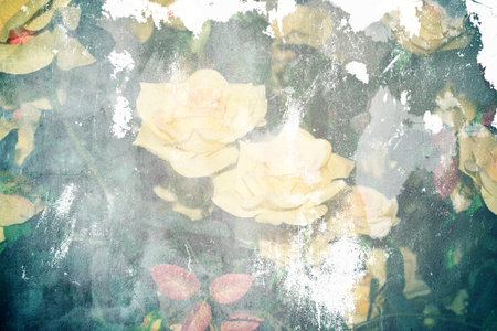 Rose Flower Background,Vintage Styleの写真素材