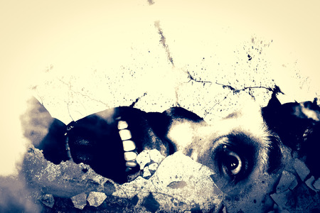 Haunted,Horror Background For Movies Poster Projectの写真素材