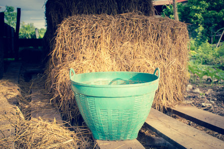 Green Plastic Basket With Hay Stack Backgroundの写真素材