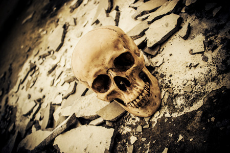Human skull on ruins place,Horror Background For Halloween Concept And Movie Poster Projectの写真素材