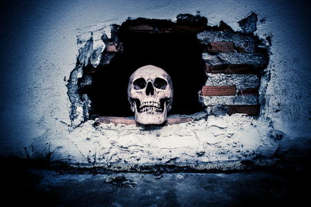 Human skull on breaking concrete wall in abandoned house,Horror Background For Halloween Concept And Movie Poster Projectの写真素材