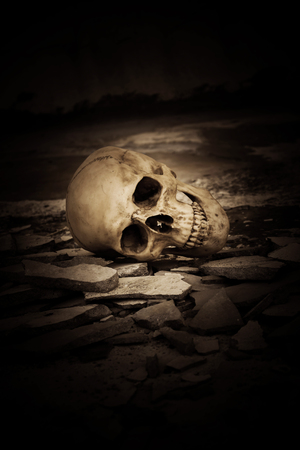 Human skull on ruins place,Horror Background For Halloween Concept And Movie Poster Projectの写真素材