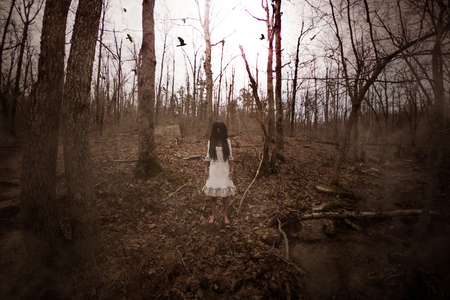 Forest of the darkness,3d illustration of  ghost girl in white dress in the abandoned forest ,Scary background mixed media for book cover,book illustrationの写真素材