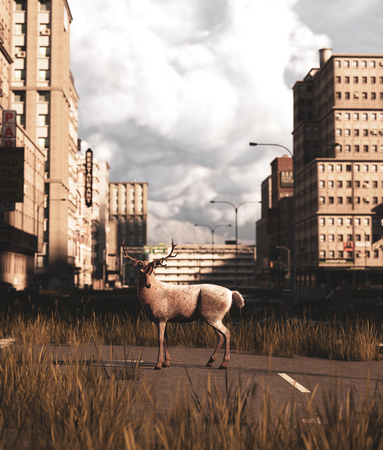 Deer walking on the street of the abandoned city,3d renderingの写真素材