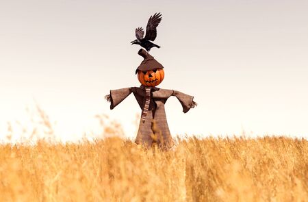 Scarecrow pumpkin in field,3d renderingの写真素材