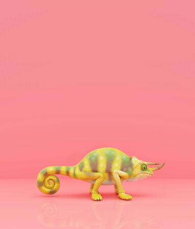 Chameleon on pastel color background,3d renderingの写真素材
