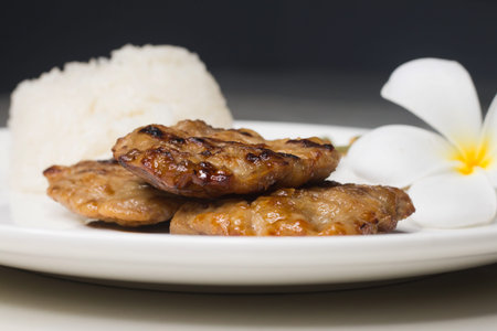 Street food, Thai grilled pork and sticky rice in a white plate