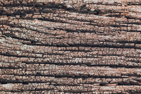 The old wooden patterned background has faded from the sun and the weather for a long time.の写真素材