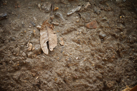 ground  backgroundの写真素材