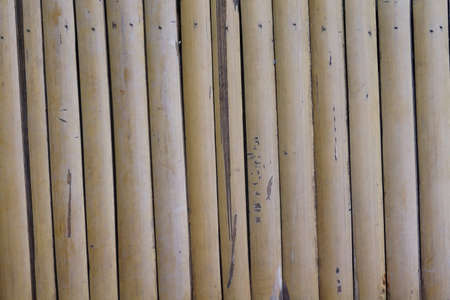 Bamboo backgroundの写真素材