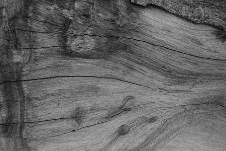 wood backgroundの写真素材