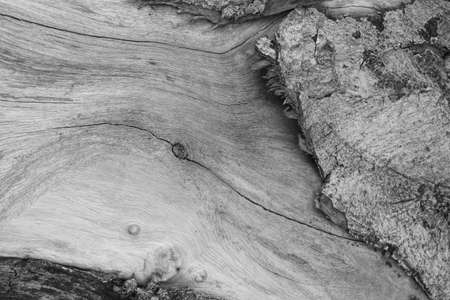 wood backgroundの写真素材