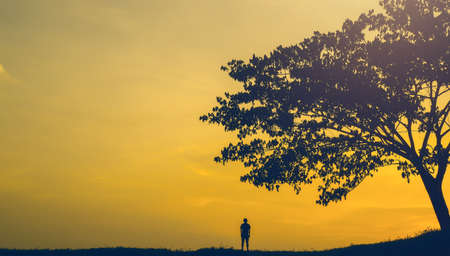 A lone man standing at the shore, beside a tree, under a dramatic evening skyの写真素材
