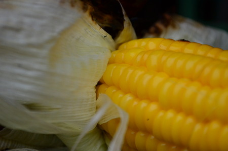Grilled corn is sweet and fragrant. Grilling is one of the popular foods.の写真素材