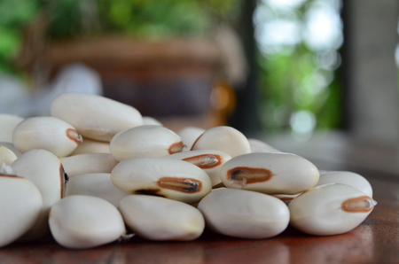 Bean seeds are combined to prepare for planting and some are ready for sale.の写真素材