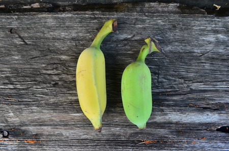 Ripe bananas and raw bananas are put together on wooden boards.の写真素材
