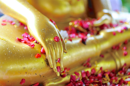 Pour flower scented water on Buddha image in Thailandの写真素材