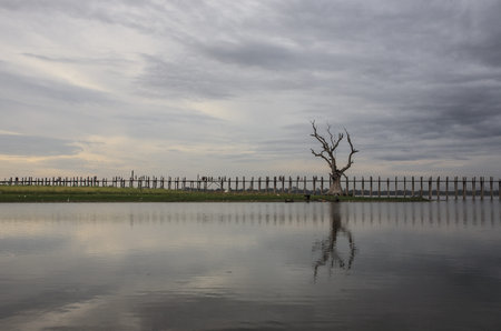 The longest wood bridge in Myanmarの写真素材