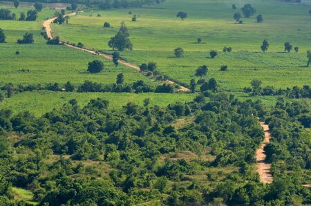 way lanscapeの写真素材