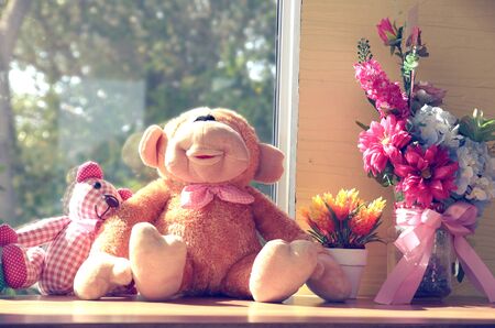 dollsの写真素材