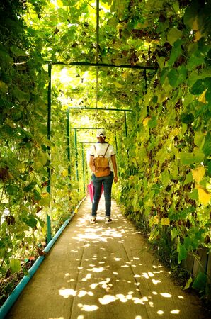 people in garden wayの写真素材