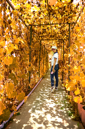 people in garden wayの写真素材