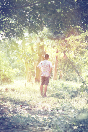 CHainatThailand , 14 APRIL 2017:Boy in countryside of Chainat Thailand  .HE walk away in forest behind his home  becuase he is  Familiarityのeditorial素材