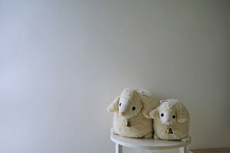 Two  Sheep dolls , front white wallの写真素材