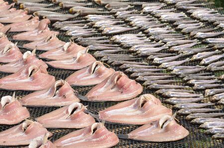 Sun-dried fish  Is a Thai food preservationの写真素材