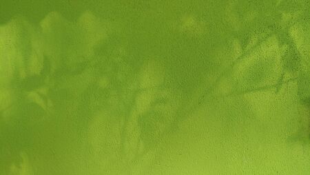 greenâ wallâ background.theâ treeâ shadowâ onâ theâ wallの写真素材