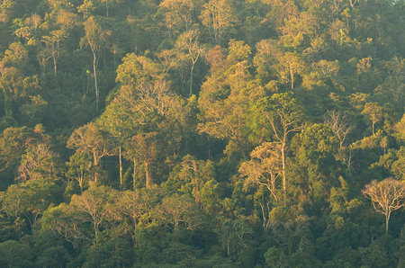 The natural hill and mountain landscape background