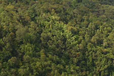 The natural hill and mountain landscape background
