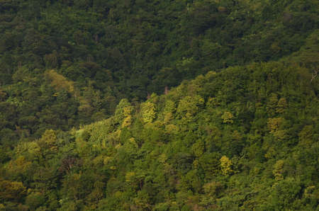 The natural hill and mountain landscape backgroundの写真素材