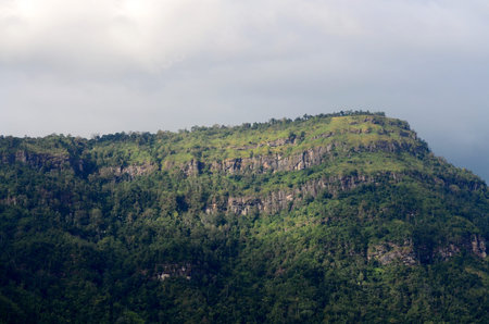 The mountain landscape .Natural background forest outdoor