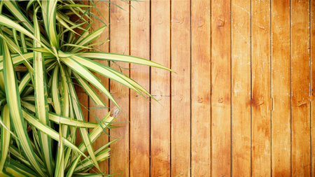 Wood texture skin of home floor .Background space wooden
