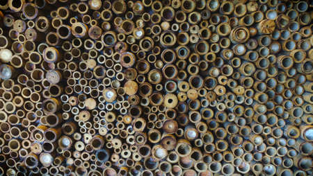 bamboo background and texture designの写真素材