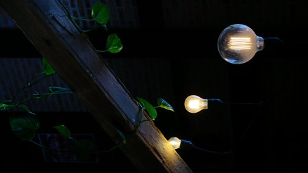 Light bulbs in the dark with green leaves on wooden planks.