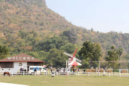 sheep farming twoの写真素材