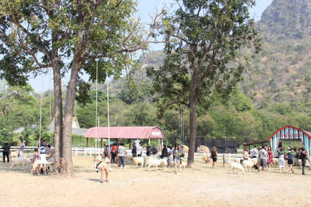 Beautiful gardensのeditorial素材