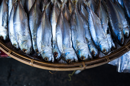 Fishes in fresh seafood marketの写真素材