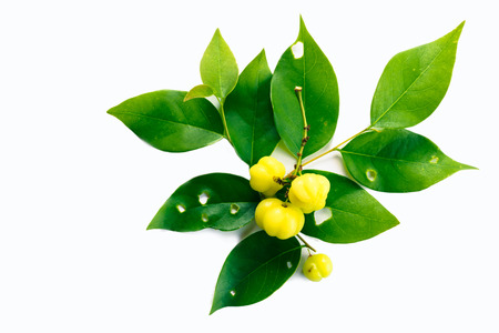 star gooseberry with leaves on isolated white backgroundの写真素材