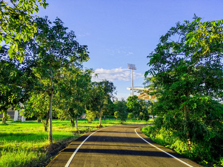 A public park in the morning on sunshine