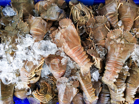 Fresh seafood from Thailandの写真素材