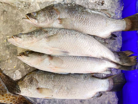 Fresh seafood from Thailandの写真素材