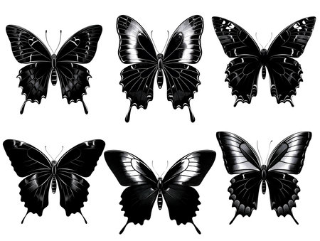 set of butterflies silhouettes on whiteの素材